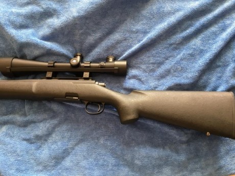 Está en Valencia lo vendo por € sólo el rifle sin ningún accesorio  calibre 308 W. 00