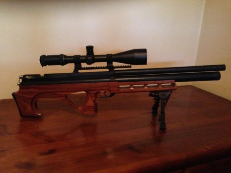 HOLA, VENDO CARABINA EDGUN, CALIBRE 5,5, EN PERFECTO ESTADO, APENAS USADA. EL VISOR NO ESTA INCLUIDO, 00