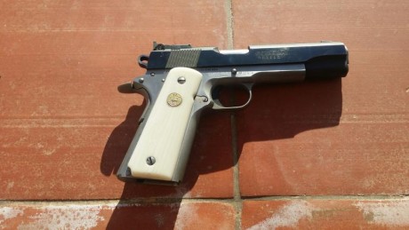 Pues eso que vendo las siguientes armas:

Pistola Colt Combat éllite con 2 cañones, uno en calibre .38 00