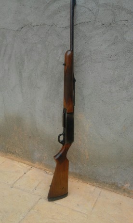 borrado 02