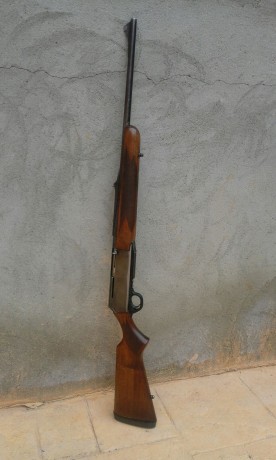 borrado 01
