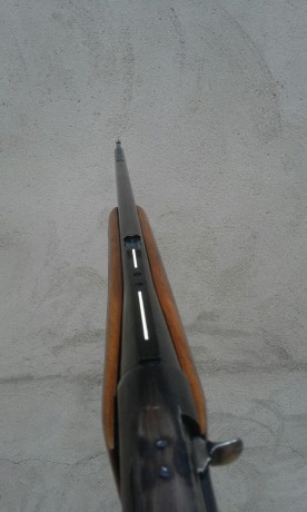 borrado 00