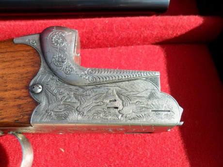 Vendo extraordinaria escopeta marca Aya, modelo Coral De Luxe.

Báscula Merkel de acero forjado y acabado 00