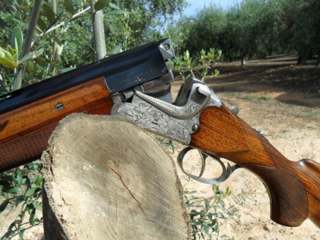 Vendo extraordinaria escopeta marca Aya, modelo Coral De Luxe.

Báscula Merkel de acero forjado y acabado 22