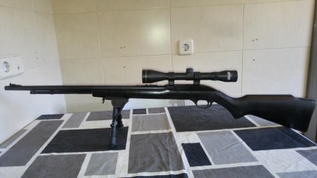 La vendo por hacer hueco y por adquirir otra cosa. Es una buena carabina para iniciarse. Cañón pesado 00