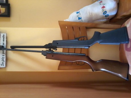 Hola a todos, tengo un amigo con una diana 48 y quiere venderla porque es incapaz de centrar las miras 132