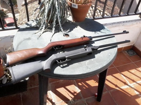Hola a todos, tengo un amigo con una diana 48 y quiere venderla porque es incapaz de centrar las miras 131