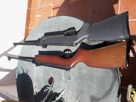Hola a todos, tengo un amigo con una diana 48 y quiere venderla porque es incapaz de centrar las miras 130