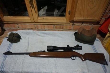 Hola a todos, tengo un amigo con una diana 48 y quiere venderla porque es incapaz de centrar las miras 91
