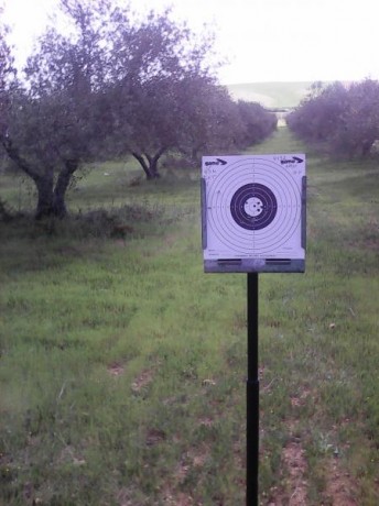Bueno,pues cuento un poco la secuencia de esta prueba.
Se trata de una Gamo Igt,a la que le acoplo su 01