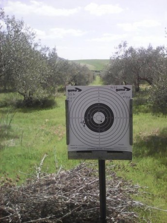 Bueno,pues cuento un poco la secuencia de esta prueba.
Se trata de una Gamo Igt,a la que le acoplo su 00