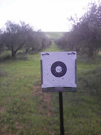 Bueno,pues cuento un poco la secuencia de esta prueba.
Se trata de una Gamo Igt,a la que le acoplo su 10