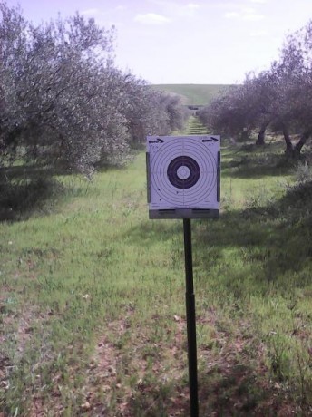 Bueno,pues cuento un poco la secuencia de esta prueba.
Se trata de una Gamo Igt,a la que le acoplo su 21