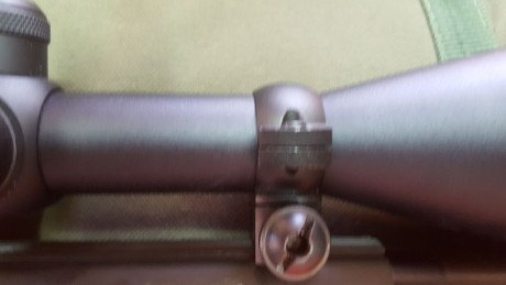 Buenas tardes

Quién me puede decir qué bases son éstas?
El rifle es un Sta. Bárbara

Gracias, saludos 10