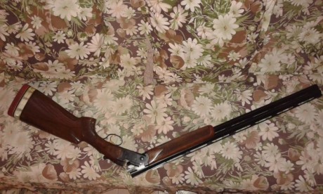vendo P. BERETTA S 682 XTR, 75 cm. de cañon, ***/*, muy poco uso. garantizada. 1000 €.la escopeta  esta 01
