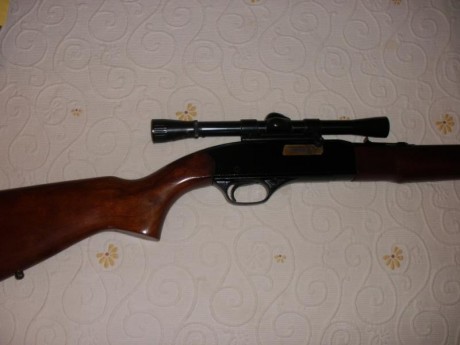 Vendo carabina cal. 22 marca WINCHESTER mod. 190 con visor Weaver (antiguo pero se ve bien). Perfecto 02