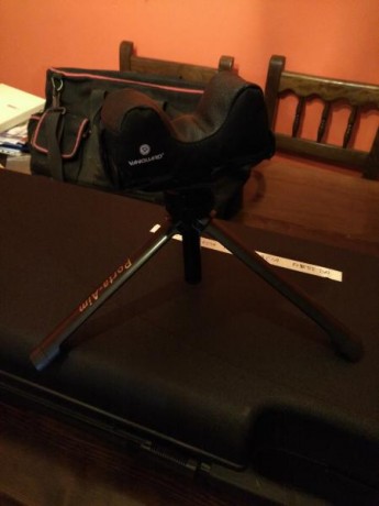 VENDIDA.Vendo pistola de airsoft sin uso UMAREX ELITE FORCE RACE GUN blow back con minilaser y punto rojo.es 22