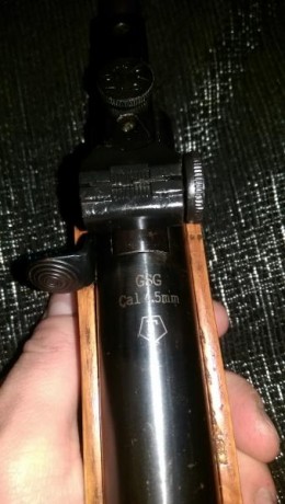 Vendo esta carabina, no se nada de este modelo, pone gsg, es de 4.5, tiene raíl para visor y esta muy 02
