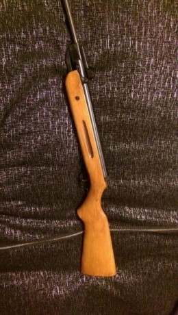 Vendo esta carabina, no se nada de este modelo, pone gsg, es de 4.5, tiene raíl para visor y esta muy 01