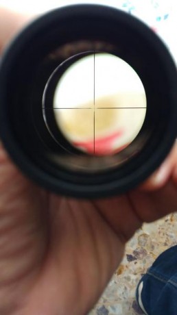 Vendo visor BUSHNELL TROPHY 1.75-5X32.

Vendo sin estrenar por la mitad que me costó.

 € GASTOS DE ENVIO 02