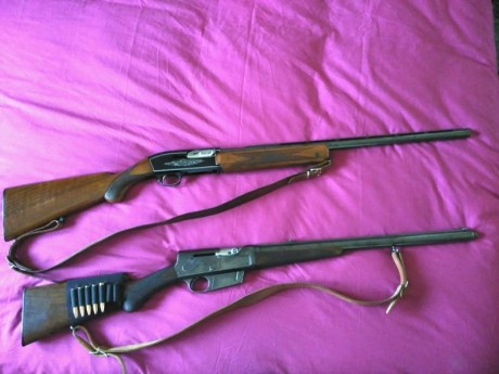 Hola a todos.
Pues hablando por un hilo a salido el tema de cuál era el mejor semiautomatico actualmente 120