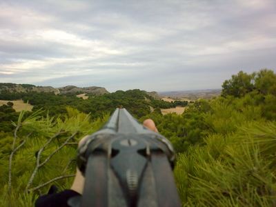 hoy he estrenado mi benelli argo confortech 300wsm,:
primer tiro- no expulsa la vaina se queda atascada 11