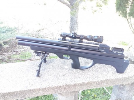 Vendo esta carabina dark Bull calibre 5,5. Está todo en perfecto funcionamiento, mejor probar, se vende 00