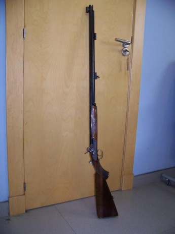 calibre 451 incluidos  trasporte y maletín plástico   250 € 01