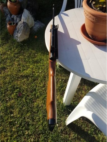 Hola Buenos días
Recientemente a caído en mis manos una Norica Europa, bueno caer caer si se le puede 00