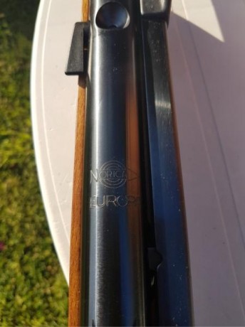 Hola Buenos días
Recientemente a caído en mis manos una Norica Europa, bueno caer caer si se le puede 10