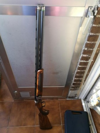Vendo beretta trident dt10 esporting de 71 cm de cañon mas chokes optima chokes de dos centimetros 73. 31