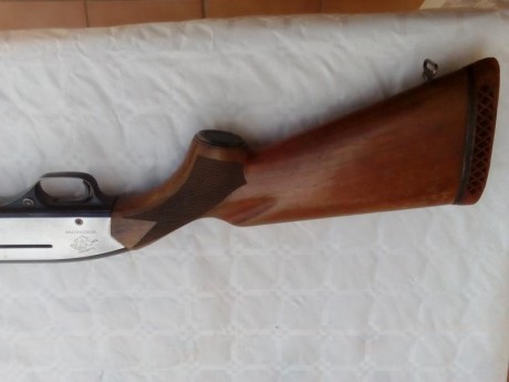 ---VENDIDA---
Escopeta semiautomatica Winchester 1500 ,
calibre 12/70,cañon 71cm,choque fijo 2** 
!!"Tiene 01