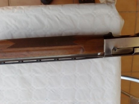 ---VENDIDA---
Escopeta semiautomatica Winchester 1500 ,
calibre 12/70,cañon 71cm,choque fijo 2** 
!!"Tiene 00