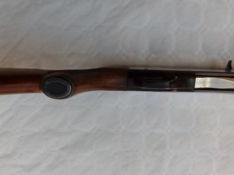---VENDIDA---
Escopeta semiautomatica Winchester 1500 ,
calibre 12/70,cañon 71cm,choque fijo 2** 
!!"Tiene 32