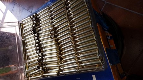 Hola vendo las siguientes vainas todas de un solo disparo proceden de puesta a tiro de visores.
350 vainas 02