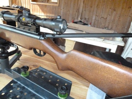 Buenos dias,

Vendo una diana 48 T05 en calibre 5.5. Estado muy bueno.  El muelle tiene unos 200 disparos. 11