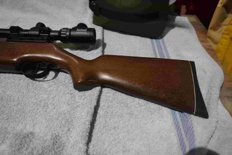 Buenos dias,

Vendo una diana 48 T05 en calibre 5.5. Estado muy bueno.  El muelle tiene unos 200 disparos. 42