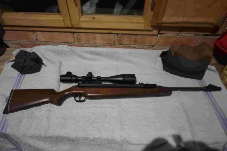 Buenos dias,

Vendo una diana 48 T05 en calibre 5.5. Estado muy bueno.  El muelle tiene unos 200 disparos. 41