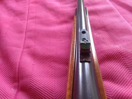 Buenos días!!

Pongo a la venta mi remington 700 bdl cal 30-06

Precio 700€ ahora por 600 € puesta en 12