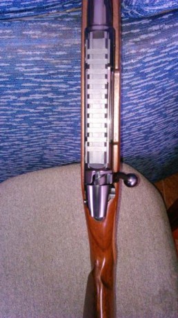Hola, Un compañero vende su rifle Ceska 550 luxe y me ha pedido que lo ponga a la venta dado que el no 00