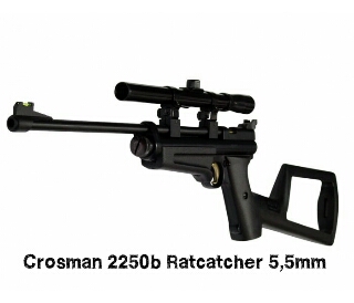 VENDIDA.....CROSMAN RATCATCHER 2250 del calibre 5,5mm de C02, con Breech metálico, gatillo mejorado, cañón 130