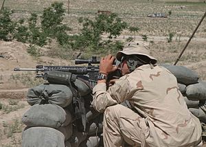 Muy buenas, la pregunta realmente es ¿qué tipo de cañón es más preciso en un mismo fusil con misma municion 172