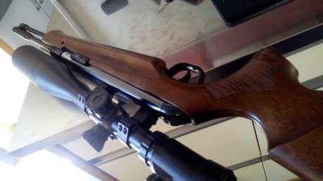 Vendo ejemplar de walther lgu en 4.5 y 16 jls apenas usada sin marca alguna en madera y con pavonado impecable 02