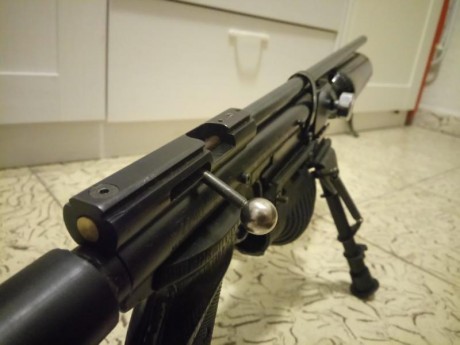 Buenos días. 
A ver como explico esto, por empezar con otro proyecto vendo lo que en su día fue una Crosman 00