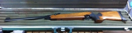 Tengo a la venta un HW55 Champ. Se considera una de las mejores armas para disparar a 10 metros.

Está 02