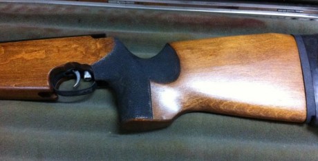 Tengo a la venta un HW55 Champ. Se considera una de las mejores armas para disparar a 10 metros.

Está 01
