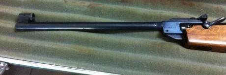 Tengo a la venta un HW55 Champ. Se considera una de las mejores armas para disparar a 10 metros.

Está 00