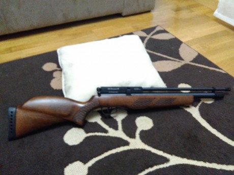 Hola buenas noches , pues eso que vendo mi BSA Buccaneer del calibre 5,5 . Tiene la culata y la bocacha 02