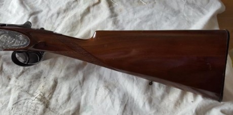 Vendo victor sarasqueta, extractora, creo que es el modelo 203 , también cambiaría por algo para la caza...
Precio 10