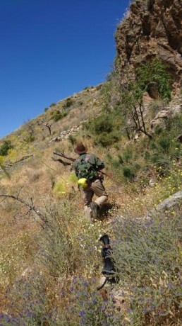  Amigos, viendo que hay interés general en la práctica de la caza con armas de avancarga, abrimos este 51